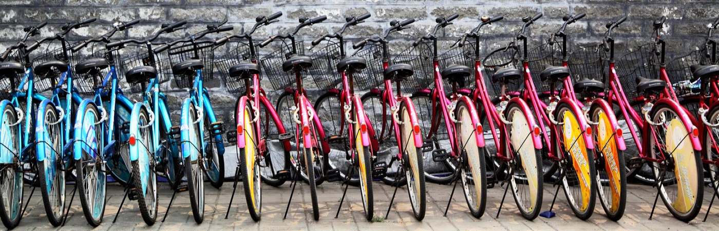 Colourful bikes in stands